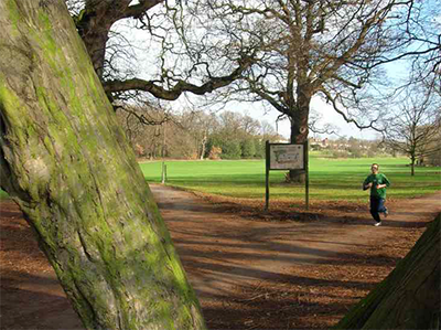 Figure 8.8 Arnos Park, New Southgate