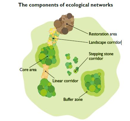 fig12