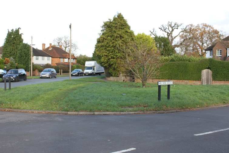 Figure 15 Grass verges at Hillside Road