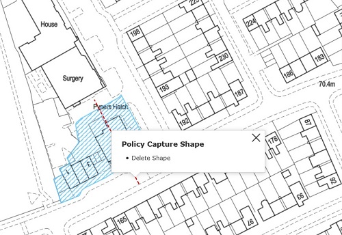 delete capture shape eg