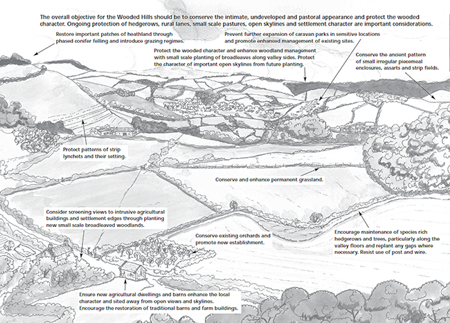 Extract from Landscape Character Assessment 