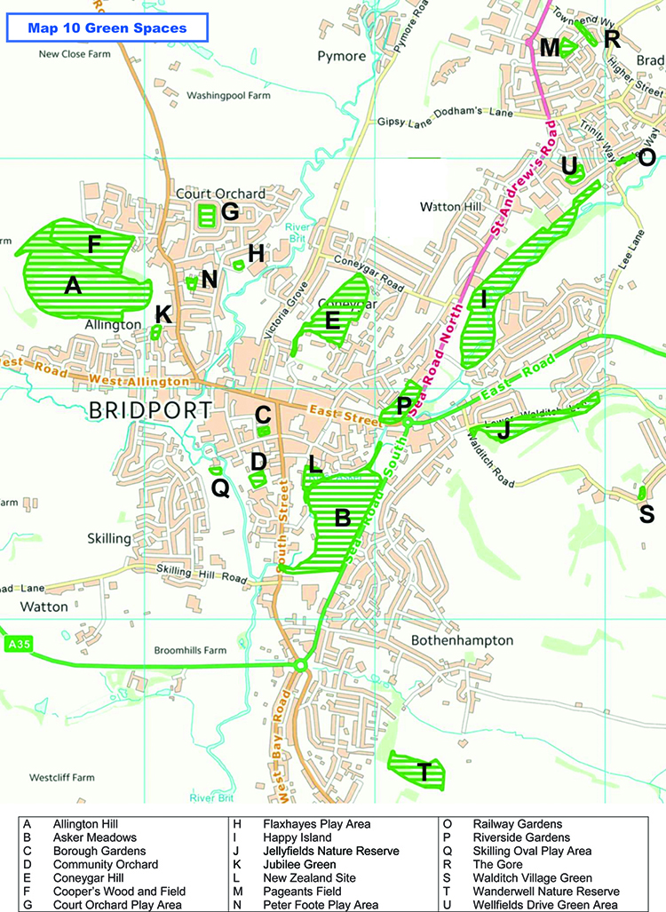 Local Green Spaces Designated in the Neighbourhood Plan Area