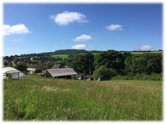 Land North of Hillside, Drimpton Road: Housing