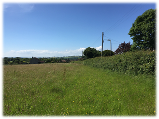 Land East of Manor Farm, Bridport Road, Drimpton: Housing