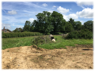 Land at Brent Paddock, Netherhay: Housing