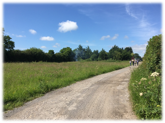 Land at Axe Mill, Netherhay: Employment