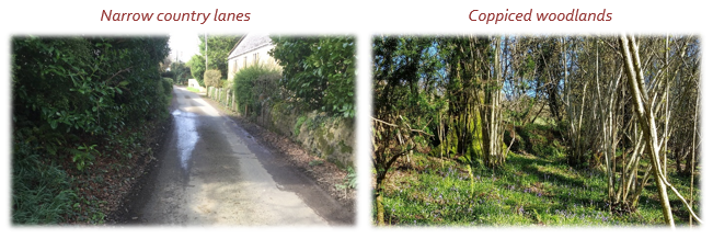 Narrow country lanes and Coppiced woodlands