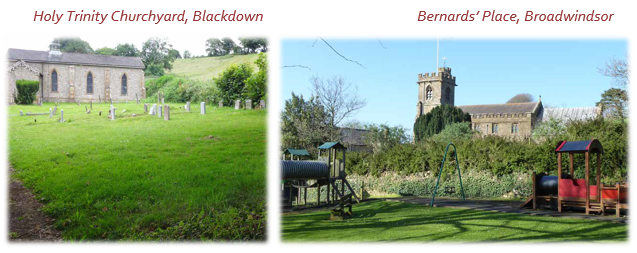 Holy Trinity Churchyard, Blackdown and Bernards’ Place, Broadwindsor