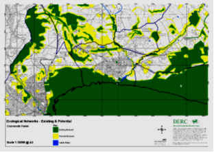 Local Ecological Networks