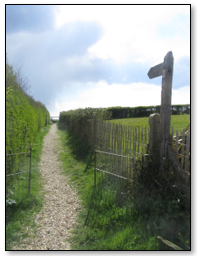 Footpath off Higher Sea Lane