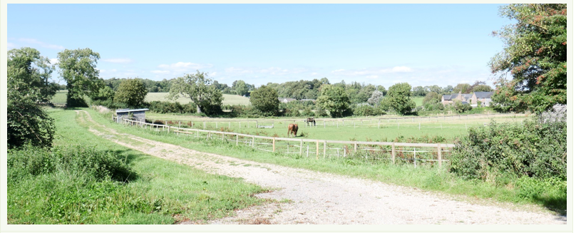 West Knighton View