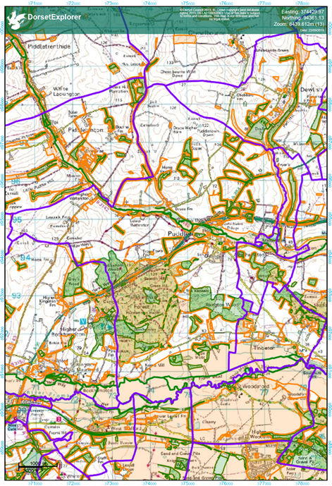 Puddletown's existing and potential wildlife areas