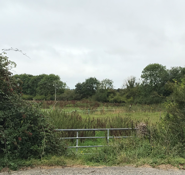 The historic water meadows