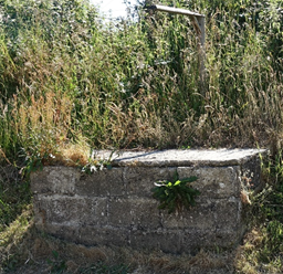 Stone Troughs