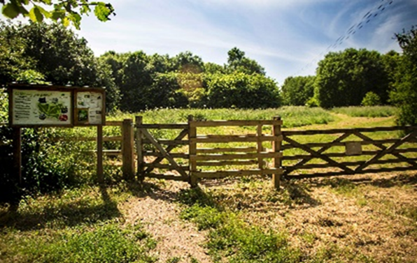 Vecklands (Millennium Wood)